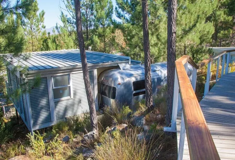 Lomakeskus Old Mac Daddy