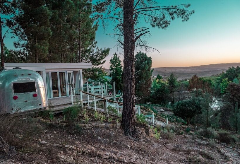 منتجع Old Mac Daddy