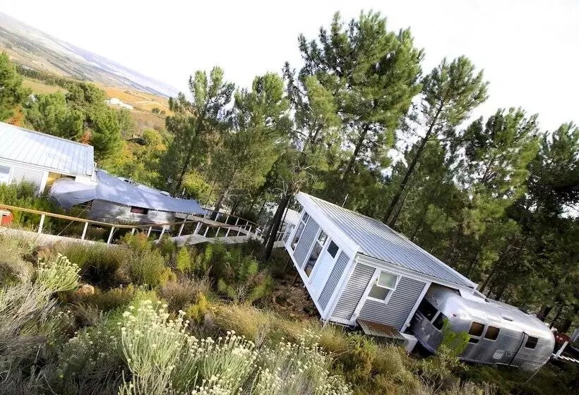 Lomakeskus Old Mac Daddy