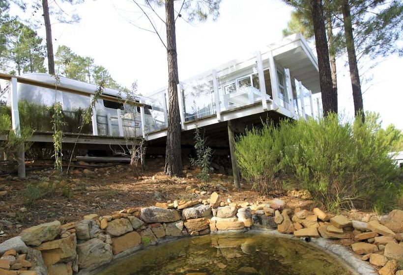 منتجع Old Mac Daddy