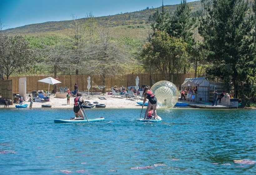 منتجع Old Mac Daddy