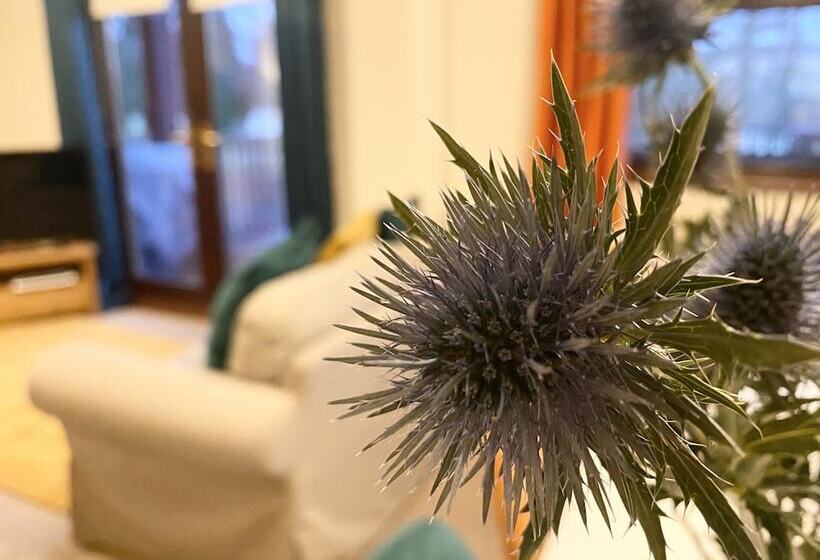 Stunning 4 Bedroom Cabin With Hot Tub In Beattock!