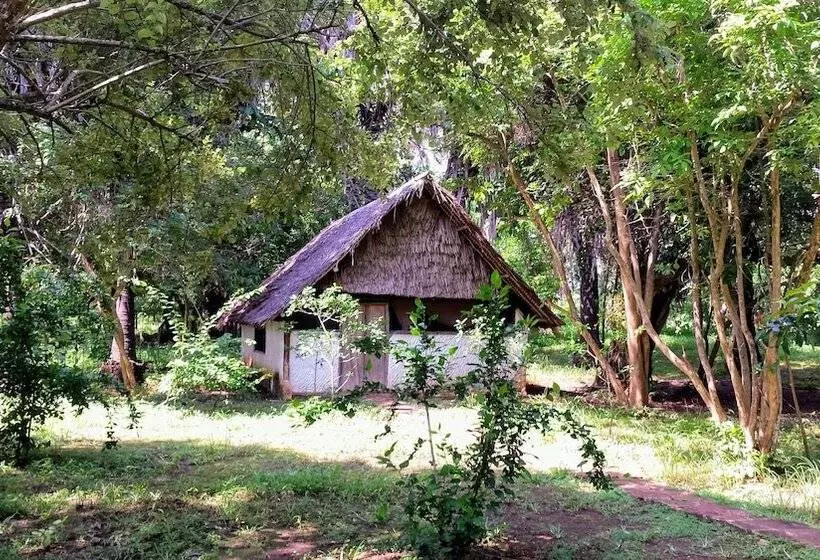 هتل Mikoko Cove Ecolodge