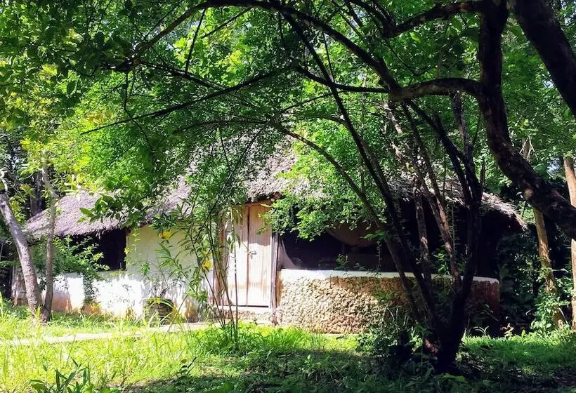 هتل Mikoko Cove Ecolodge