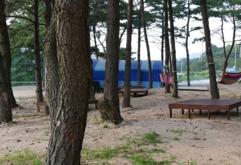 فندق Sangju Yeoyurounhwangtojib Pensyeon