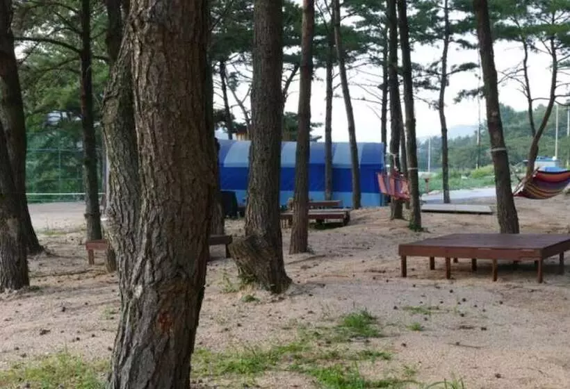 Hotelli Sangju Yeoyurounhwangtojib Pensyeon