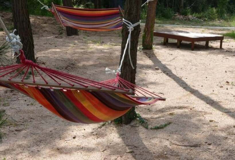 فندق Sangju Yeoyurounhwangtojib Pensyeon