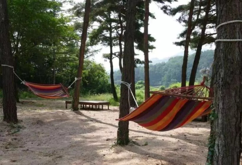 Hotelli Sangju Yeoyurounhwangtojib Pensyeon