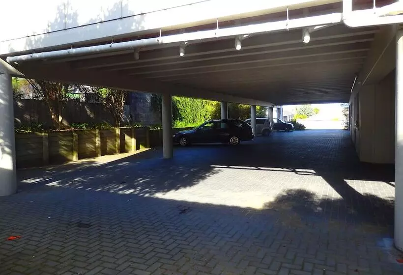 הוסטל Tiki Lodge Backpackers