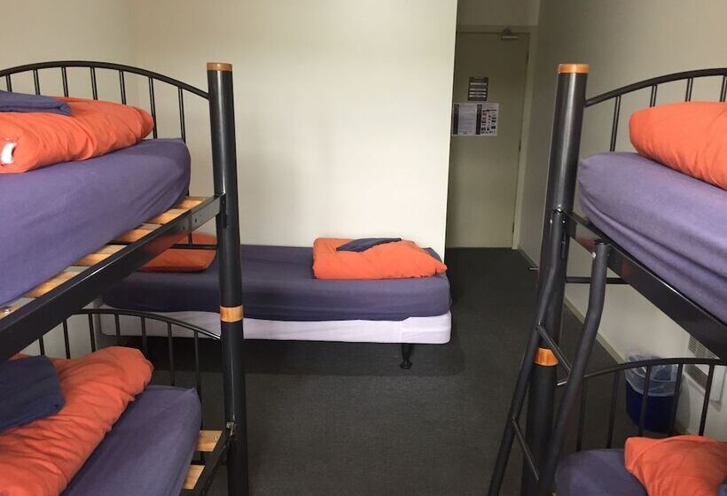 הוסטל Tiki Lodge Backpackers