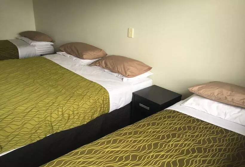 הוסטל Tiki Lodge Backpackers