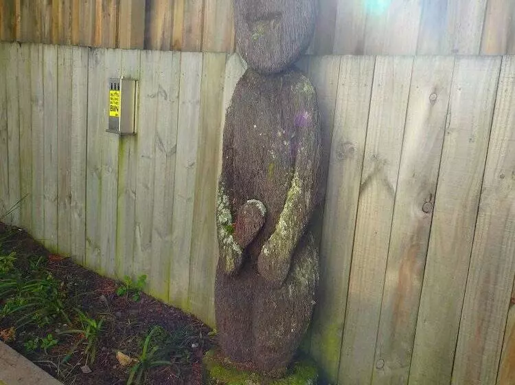 הוסטל Tiki Lodge Backpackers