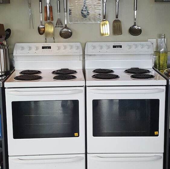 הוסטל Tiki Lodge Backpackers