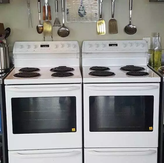 הוסטל Tiki Lodge Backpackers