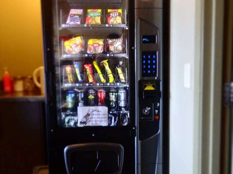 הוסטל Tiki Lodge Backpackers