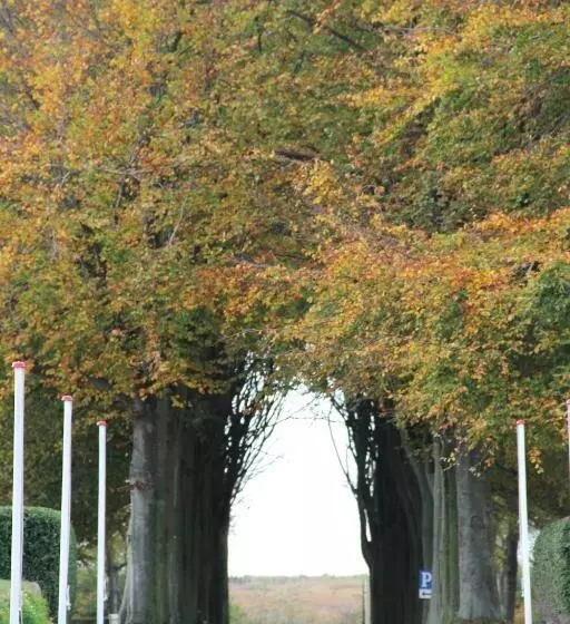 Gl. Avernæs Sinatur Hotel & Konference