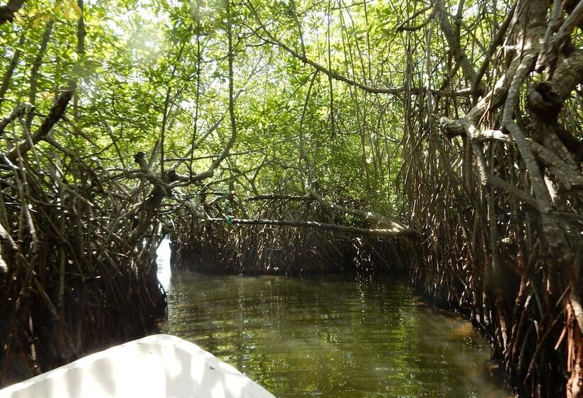 Отель Kadolana Eco Village