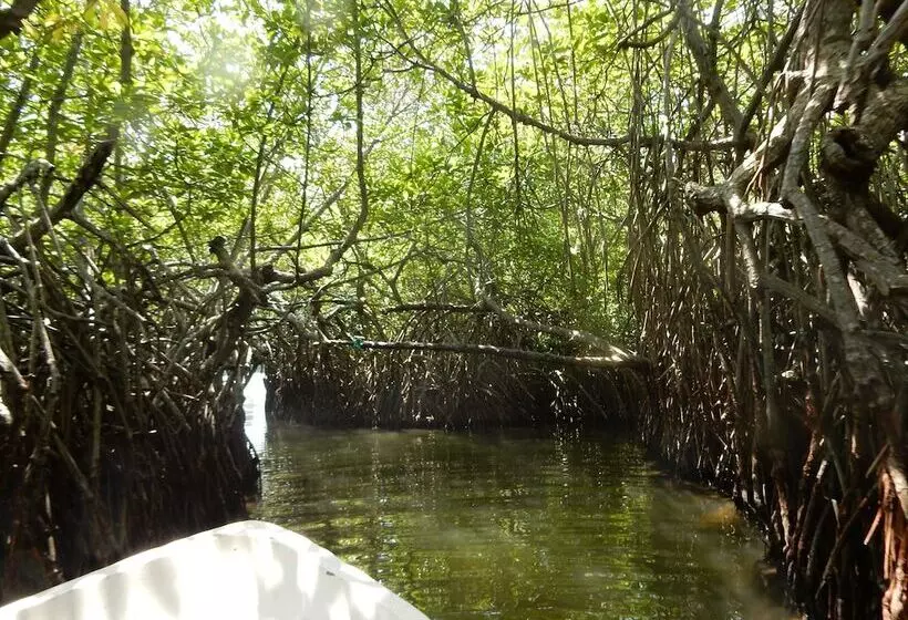 ホテル Kadolana Eco Village