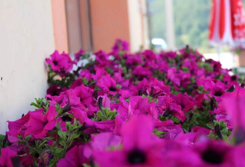 בית מלון כפרי Miletto