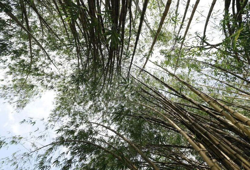 Отель Nooit Gedacht Heritage