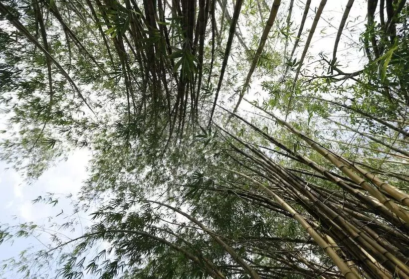 호텔 Nooit Gedacht Heritage