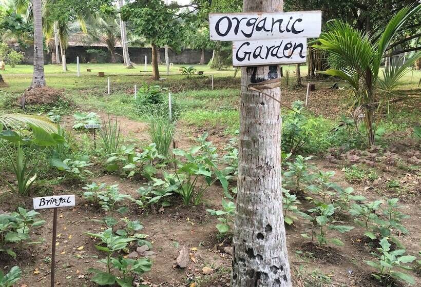 Отель Nooit Gedacht Heritage