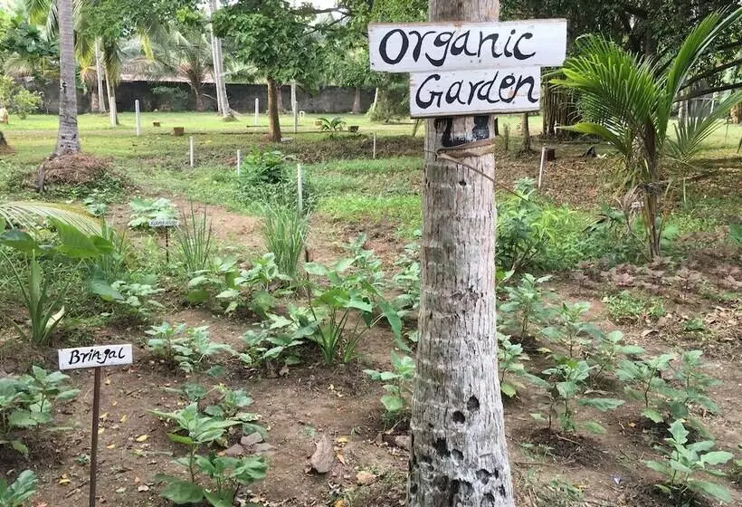 호텔 Nooit Gedacht Heritage