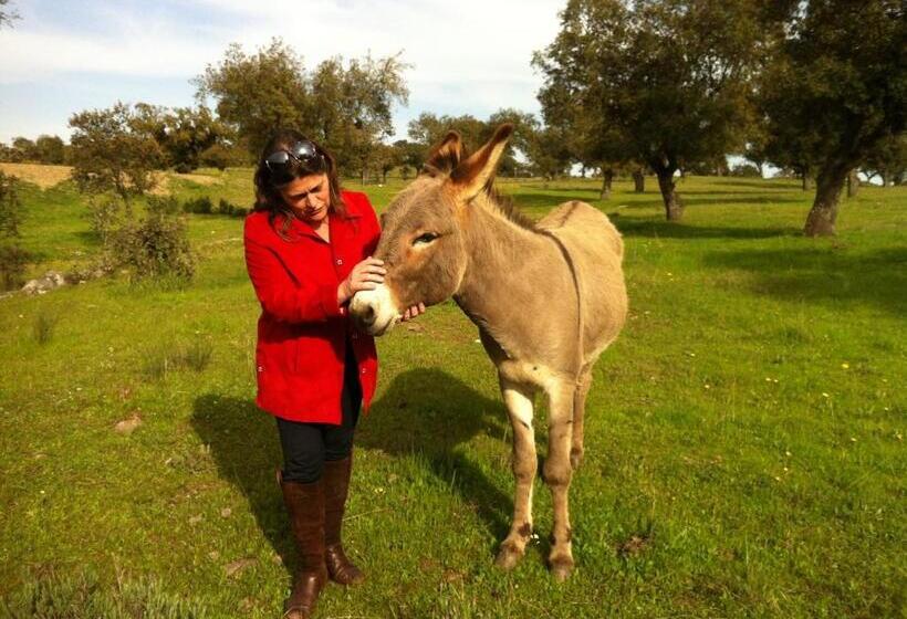 田舎風ホテル Monte Alerta Turismo Rural