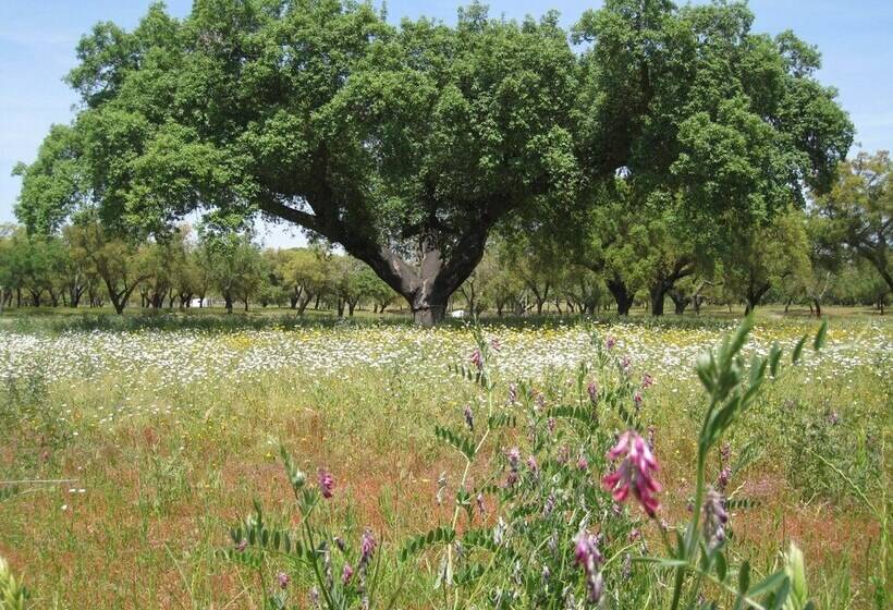 فندق ريفى Monte Das Faias Cork Farm