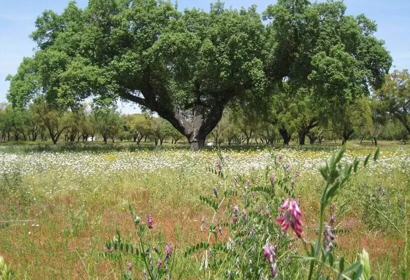 Maaseutuhotelli Monte Das Faias Cork Farm