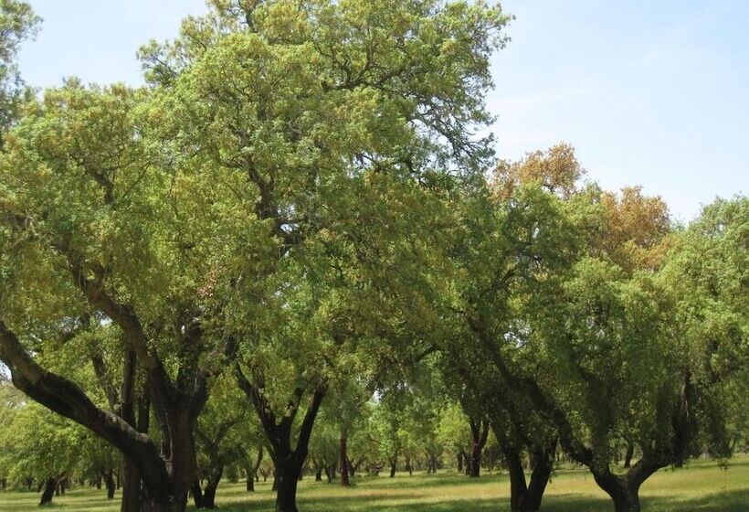 فندق ريفى Monte Das Faias Cork Farm