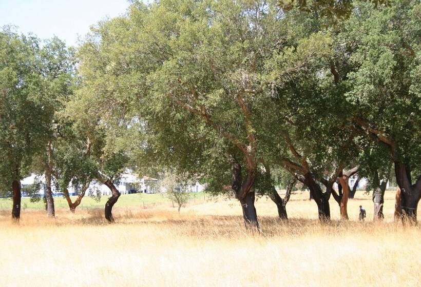 فندق ريفى Monte Das Faias Cork Farm