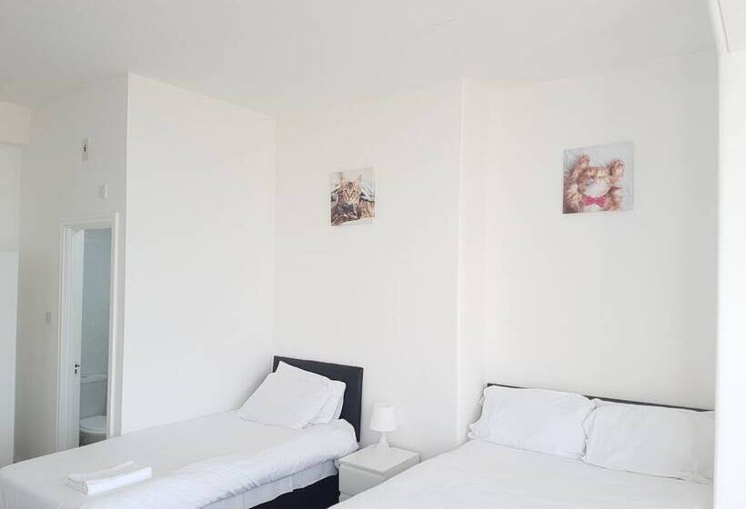 ホテル The Mews Inn