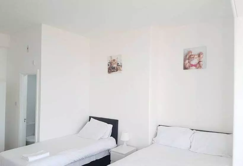 Отель The Mews Inn