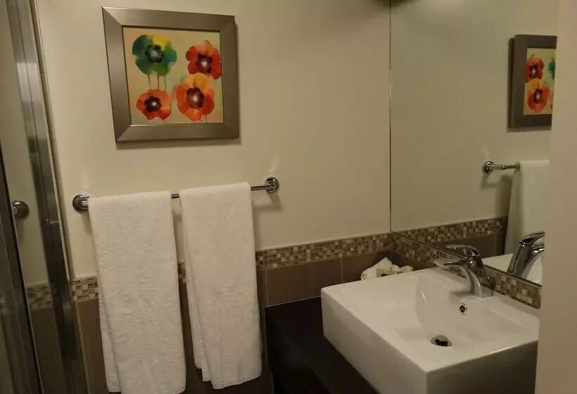 酒店 Auberge L'ambassadeur