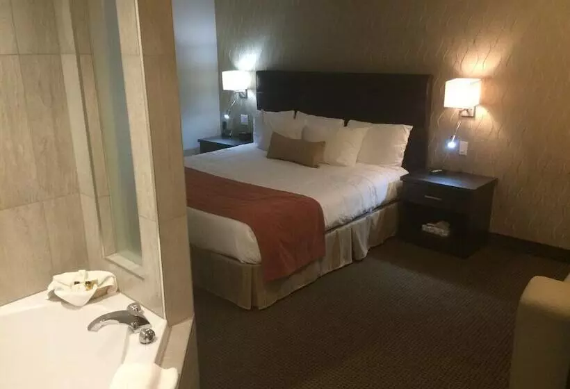 酒店 Auberge L'ambassadeur