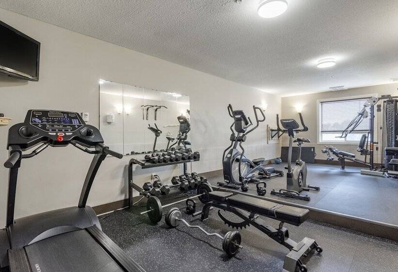 Devonian Hotel And Suites