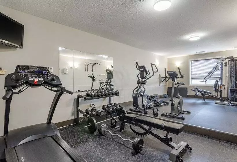 Devonian Hotel And Suites