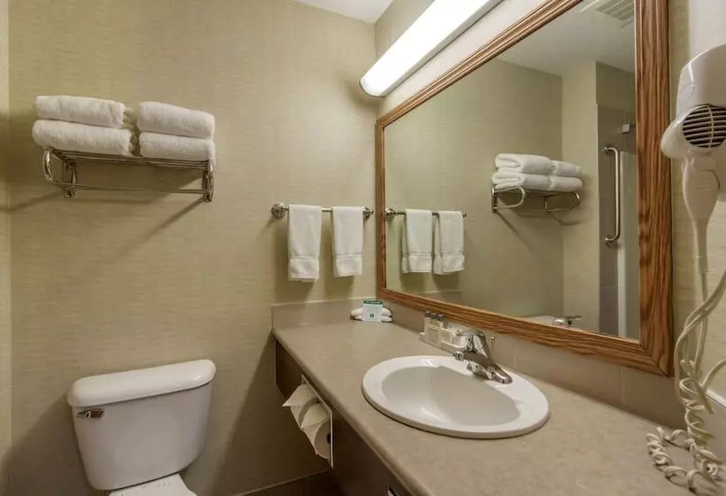 Devonian Hotel And Suites