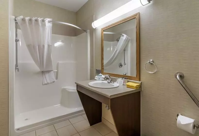 Devonian Hotel And Suites