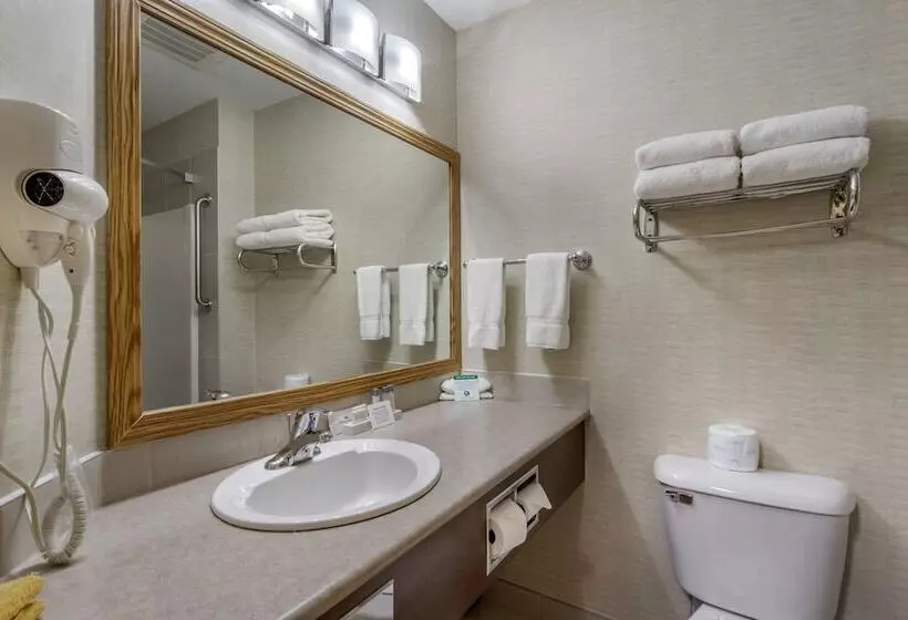 Devonian Hotel And Suites