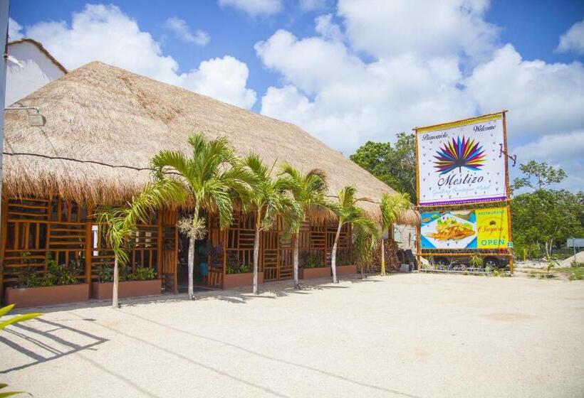 Hotel Mestizo Gallery