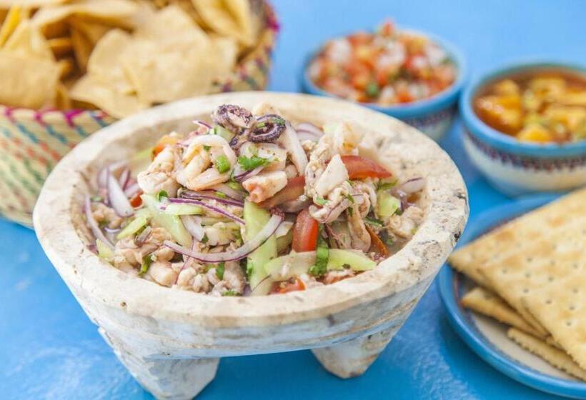 Hotel Mestizo Gallery