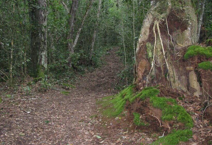 Pumula Lodge 4 Star B&b Knysna