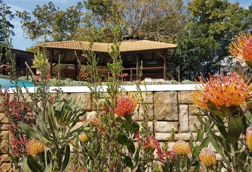 Pumula Lodge 4 Star B&b Knysna