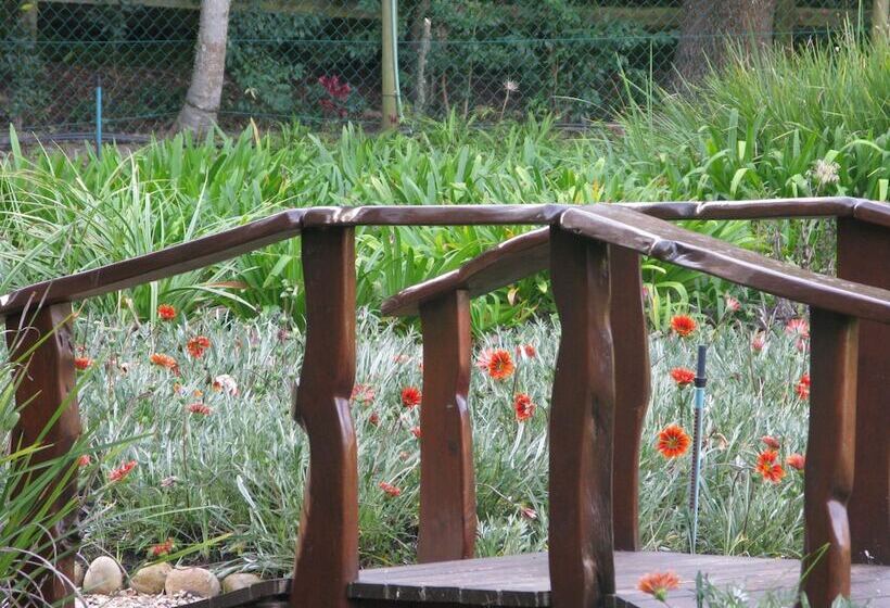 Pumula Lodge 4 Star B&b Knysna