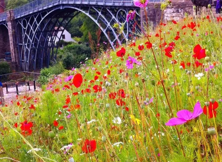 The Stanage Bed And Breakfast