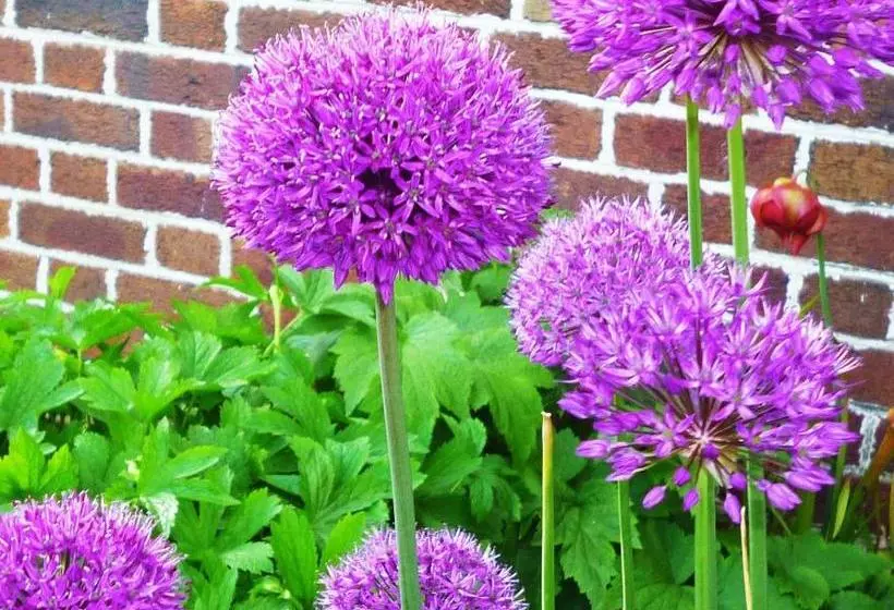 The Stanage Bed And Breakfast