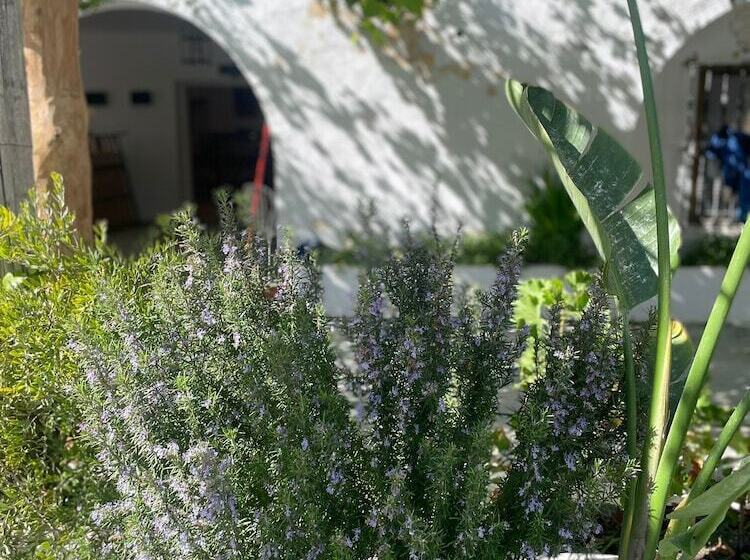 Bed and Breakfast La Posada De Trafalgar