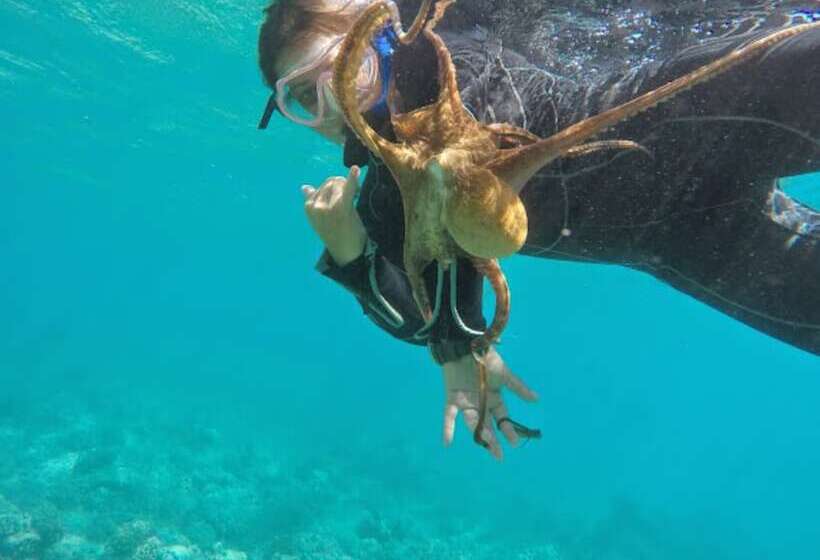 Destin Studio Beach Across The Street